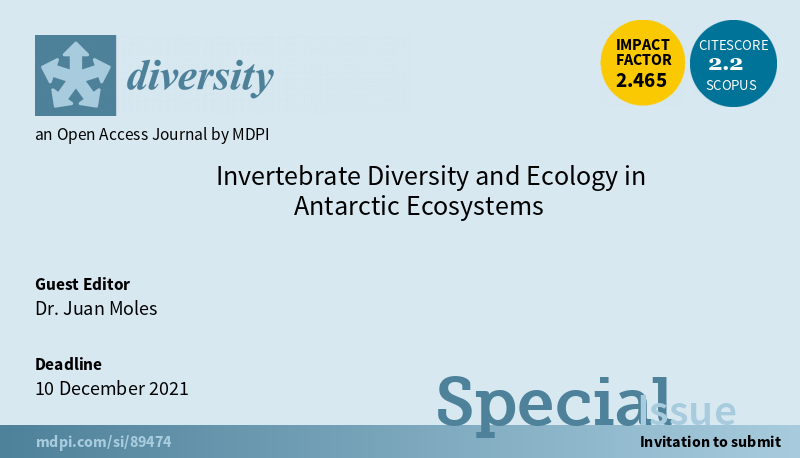 Diversity invertebrate diversity