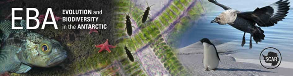 EBA banner web