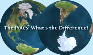 Artic And Antartic Map Comparing The Arctic And Antarctic