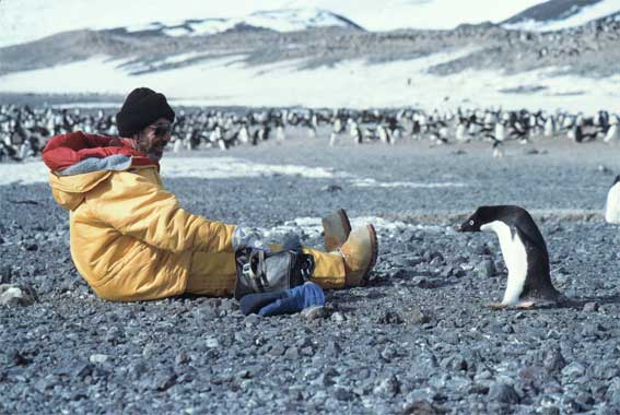 George Hemmen with penguin web