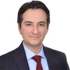 Sarp Erguven web